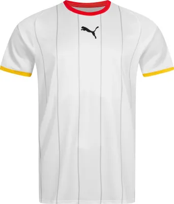 Puma DHB Deutschland 2024 Handball Heimtrikot Herren Gr L