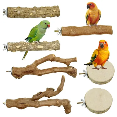 Image de Ensemble de perchoirs en bois naturel, 7 pièces, pour oiseaux, perroquets, hamsters, accessoires pour cage à oiseaux