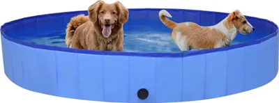 Immagine prodotto di Piscina per Cani Pieghevole Blu 200x30 cm in PVC