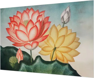 Produktbild von Wandtapete - Dekorative Tapete für Wohnzimmer - Tapetenfolie für Wanddekoration - 208x146 cm - Lotusblumen