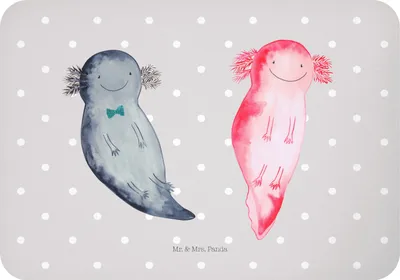 Produktbild von Mr. & Mrs. Panda magnet Axolotl Freundin - Grau Pastell - Geschenk, Kühlschrankmagnet, designmagnet, Schwanzlurch, Freund, tafelmagnet, Liebe, haftmagnet, holzmagnet