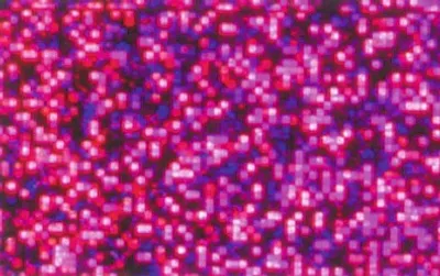 Zdjęcie produktu dla Folia hologramowa różowa
