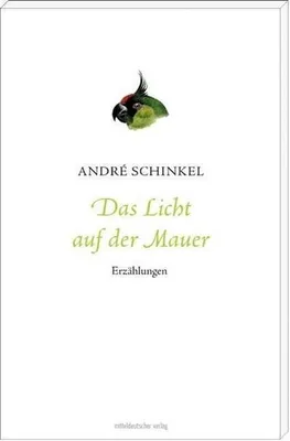 Produktbild von Schinkel, A: Licht auf der Mauer