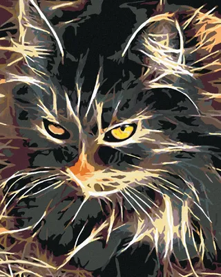 Immagine prodotto di Zuty - Pittura con diamanti - SPLENDIDA GATTA BICOLORE, 40x50 cm, senza cornice e senza tela