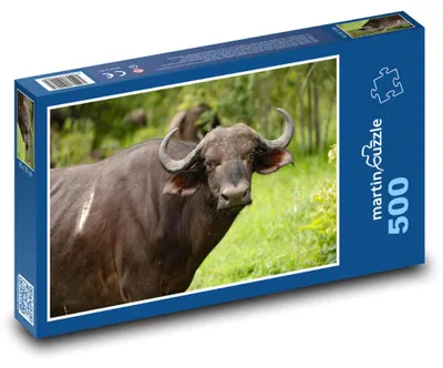 Zdjęcie produktu dla Puzzle 500 Bawół na afrykańskim safari - martinpuzzle