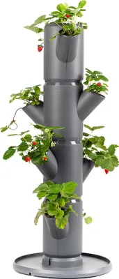Produktbild von Gusta Garden SISSI STRAWBERRY starter selbstbewässernde Pflanzgefäße 4 Etagen, anthrazit