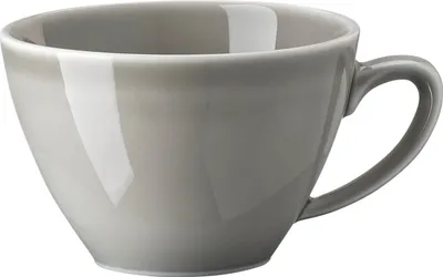 Produktbild von Rosenthal Tee-Obertasse Colours Mountain 11770-405161-14642