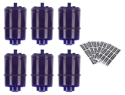 Image de 6 filtres à eau pour robinet, compatibles avec le système de filtration RF-9999, pièces de rechange pour la cuisine, avec autocollants