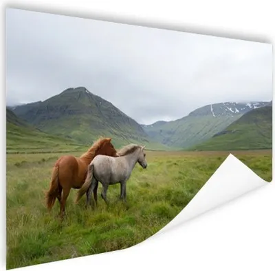 Produktbild von MuchoWow® Poster Pferde - Gras - Berge 120x80 cm - Bilder