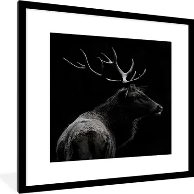 Produktbild von MuchoWow® Gerahmtes Poster Hirsch - Schwarz - Porträt - Geweih - Tiere 40x40 cm - Poster mit Schwarzem Bilderrahmen Wandposter Rahmen Foto Bilder - Poster - Plakat im Rahmen