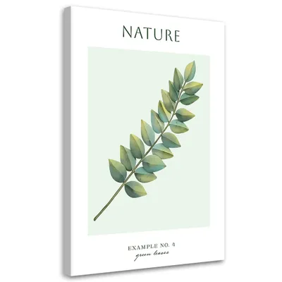 Produktbild von Leinwandbild Grüne Blätter – Natur 80x120 Feeby Grün bild für die wand bereit zum aufhängen