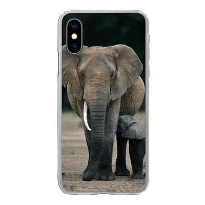 Produktbild von MuchoWow® Handyhülle Schutzhülle Hülle für iPhone X Elefant - Tiere - Flachland - Natur Silikon Softcase Handy Hülle - Handyhülle