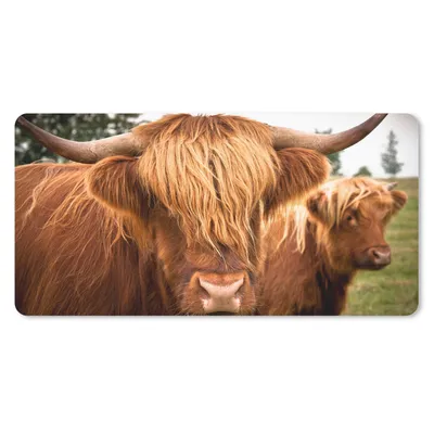Produktbild von MuchoWow® Schreibtischunterlage Schottische Highlander - Braun - Gras 80x40 cm - XXL Mauspad - Gaming Mauspad