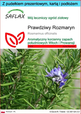 Zdjęcie produktu dla SAFLAX - Zestaw prezentowy - Prawdziwy Rozmaryn - 100 Nasiona - Z pudełkiem upominkowym, etykietą wysyłkową, kartą podarunkową i podłożem uprawowym - Rosmarinus officinalis