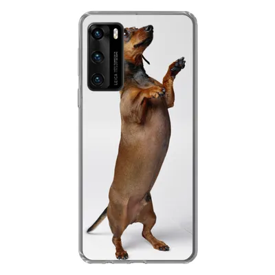 Produktbild von MuchoWow® Handyhülle Schutzhülle Hülle für Huawei P40 Ein Dackel, der auf seinen beiden Hinterbeinen steht Silikon Softcase Handy Hülle - Handytasche