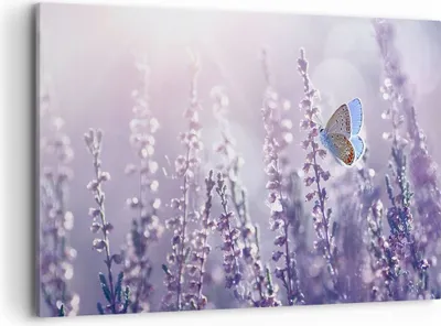 Produktbild von Bild auf Leinwand - Leinwandbild - Schmetterling Wiese Blume - 120x80cm - Wand Bild - Wanddeko - Leinwanddruck - Bilder - Kunstdruck - Wanddekoration - Leinwand bilder - Wandkunst - AA120x80-4014