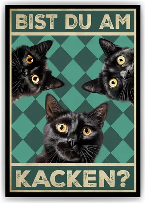Produktbild von Bist du am Kacken? Katzen Poster Badezimmer Gästebad Wandbild Klo Toilette Dekoration Lustiges Gäste-WC Bild DIN A4 - Katzen 03 – DIN A4 (21x29.7cm)