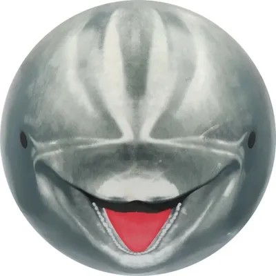 Produktbild von sunflex DIVING BALL DELFIN