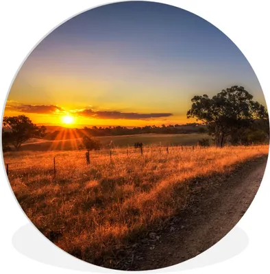 Produktbild von MuchoWow® Rundes Wandbild - Runde Bilder Sonne - Gras - Baum - Natur Ø 30 cm Kreis Wanddekoration Kunststoff - Wandkreis - Wandschmuck - Schlafzimmer - Bilder - Der Kreis - Kunst für die Wohnung - Plastik - Kunstdruck - Wandbild