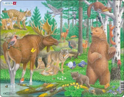 Image de Puzzle Animaux de la forêt 29 pièces