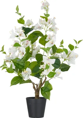 Produktbild von Kunstpflanze Bougainvillea H 68 cm weiss