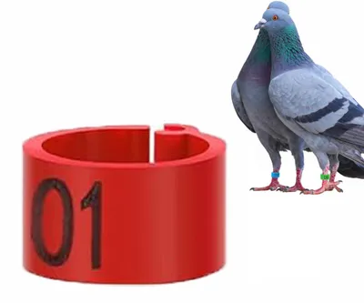 Vogelringe 8 mm, 100 Stück, nummeriert 001-100, Kunststoff, wiederverwendbar
