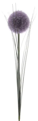 Zdjęcie produktu dla Sztuczne kwiaty Allium 66cm fioletowy, 1 szt