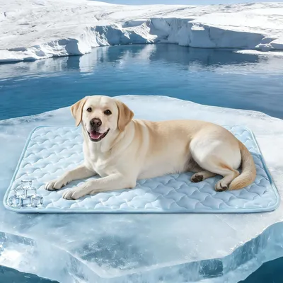 Produktbild von Omgoods – Kühlmatte für Hunde – Selbstkühlende Matte für Hunde, langlebig und waschbar