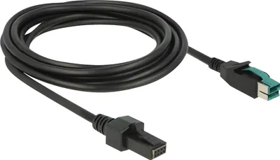 Image de DELOCKPowered USB Kabel 12V St > 2x4Pin St 3.0m