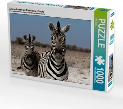 Produktbild von Calvendo Zebrapärchen bei Rietfontein, Etosha 1000 Teile Puzzle quer 640x480mm, Bruhn Olaf; 7436342