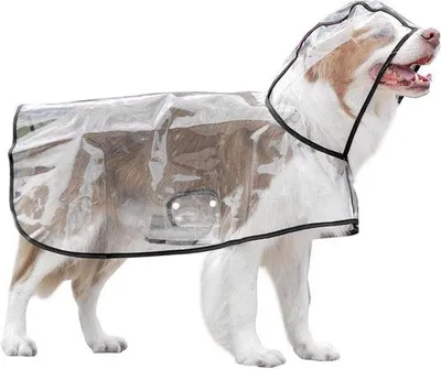 Produktbild von Wasserdichter Regenmantel mit Kapuze für Hunde Mittelgröße Khaki