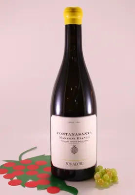 Produktbild von Fontanasanta Manzoni Bianco - 2023 - Foradori