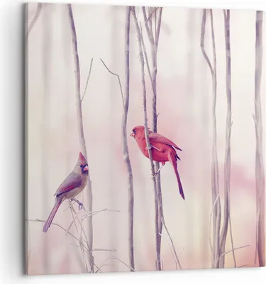 Produktbild von Bild auf Leinwand - Leinwandbild - Einteilig - Vögel Kardinal Scharlachrot - 50x50cm - Wand Bild - Wanddeko - Wandbilder - Leinwanddruck - Bilder - Wanddekoration - Leinwand bilder - AC50x50-4256