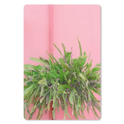 Produktbild von MuchoWow® Mauspad Mousepad Pflanze - Sommer - Rosa 40x60 cm - Mousepads - Maus Mat - Pad - Mausunterlage - Schreibtisch Accesoire