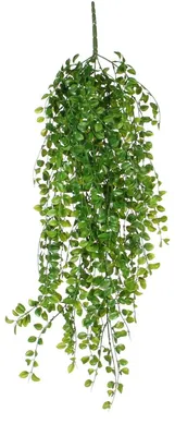 Produktbild von Mica Decorations Ficus hängende Kunstpflanze - H81 cm - Grün