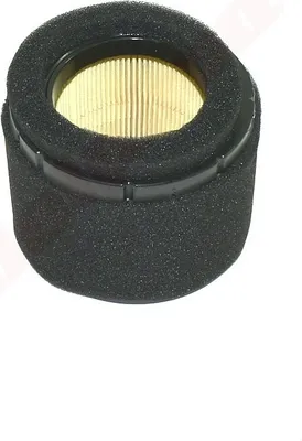 Obrázek produktu pro Práškový filtr Kawasaki Fj180V ( 11029-0019 , 11029-0032 , 11029-7023 )