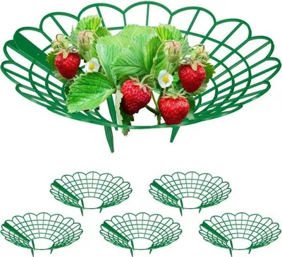 Produktbild von Erdbeerhalter im Set