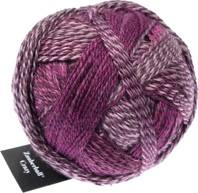 Produktbild von Schoppel Zauberball Crazy,Sockenwolle,100g,75%Schurwolle/25% Polyamid, Fb. 2543 Dark Roses