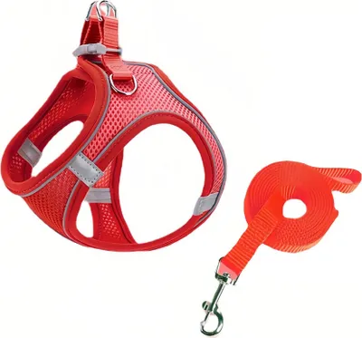 Obrázok produktu pre Nastaviteľný, reflexný, priedušný postroj so 150 cm dlhým vodítkom pre malé a stredne veľké psy a mačky (veľkosť M, červená)