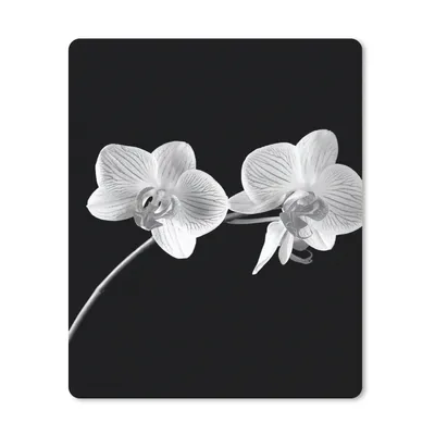 Produktbild von MuchoWow® Mauspad Mousepad Orchidee - Blumen - Schwarz - Rosa - Knöpfe 30x40 cm - Mousepads - Maus Mat - Pad - Mausunterlage - Mausmatten