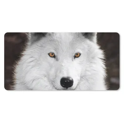 Produktbild von MuchoWow® Schreibtischunterlage Wolf - Weiß - Porträt 80x40 cm - XXL Mauspad - Gaming Mauspad