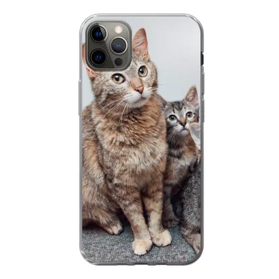 Produktbild von MuchoWow® Handyhülle Schutzhülle Hülle für iPhone 13 Pro Max Katze - Kätzchen - Fell Silikon Softcase Handy Hülle - Mobiltelefon