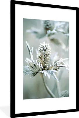 Produktbild von MuchoWow® MuchoWow® Gerahmtes Poster Blume - Grün - Eiscreme 60x90 cm - Poster mit zchwarzem Bilderrahmen - Dekoration - Wandposter Wohnzimmer - Hochwertig