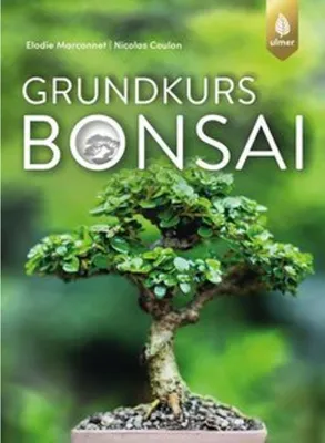Image de Grundkurs Bonsai
