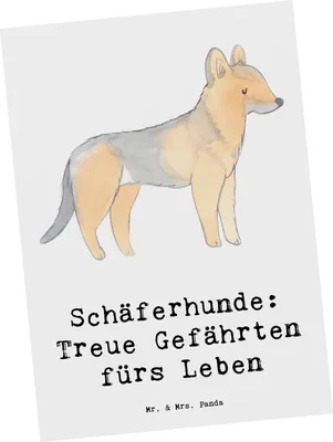 Produktbild von Mr. & Mrs. Panda Postkarte Schäferhund Gefährten - Weiß - Geschenk, bretonische Hunderasse, Grußkarte, treuer Begleiter, Hunderassen Vielfalt, Postkarten, Pflege, Hund