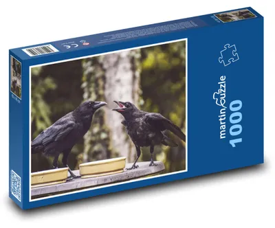 Obrázok produktu pre martinpuzzle – Puzzle 1000 – Vraní pri krmítku