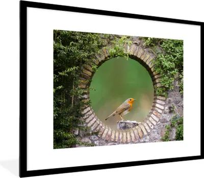 Produktbild von MuchoWow® Gerahmtes Poster Vogel - Durchblick - Rotkehlchen 80x60 cm - Poster mit Schwarzem Bilderrahmen Wandposter Rahmen Foto Bilder - Schlafzimmer-Dekorationen - Fotoposter
