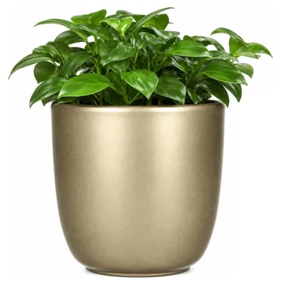 Produktbild von Mica Decorations Blumentopf - gold - Keramik - 17 x 16 cm