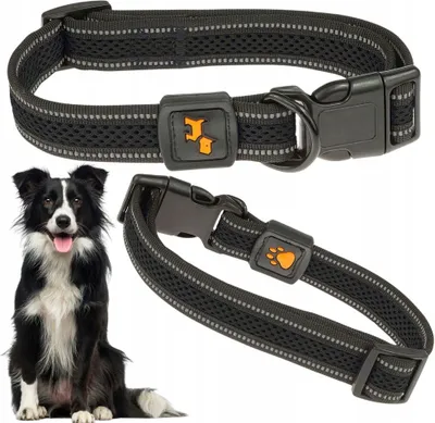 Produktbild von Mittelgroßes Hundehalsband weich und bequem mit Reflektor M 34-50cm