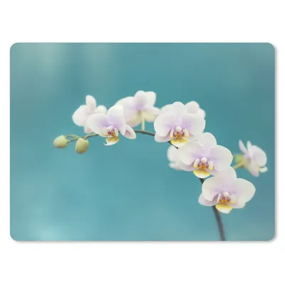 Produktbild von MuchoWow® Mauspad Mousepad Orchidee - Blumen - Pflanze - Weiß - Lila 23x19 cm - Mousepads - Maus Mat - Pad - Mausunterlage - Schreibtischunterlage - Mauspad